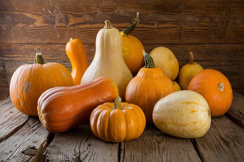 Courges d’automne, comme butternut et citrouilles, sur une table en bois.