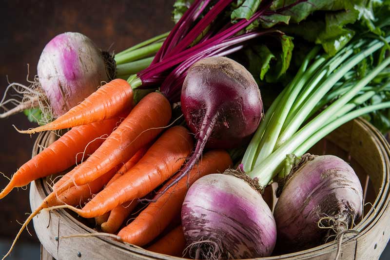 Légumes racines comme carottes, betteraves, navets dans un panier.